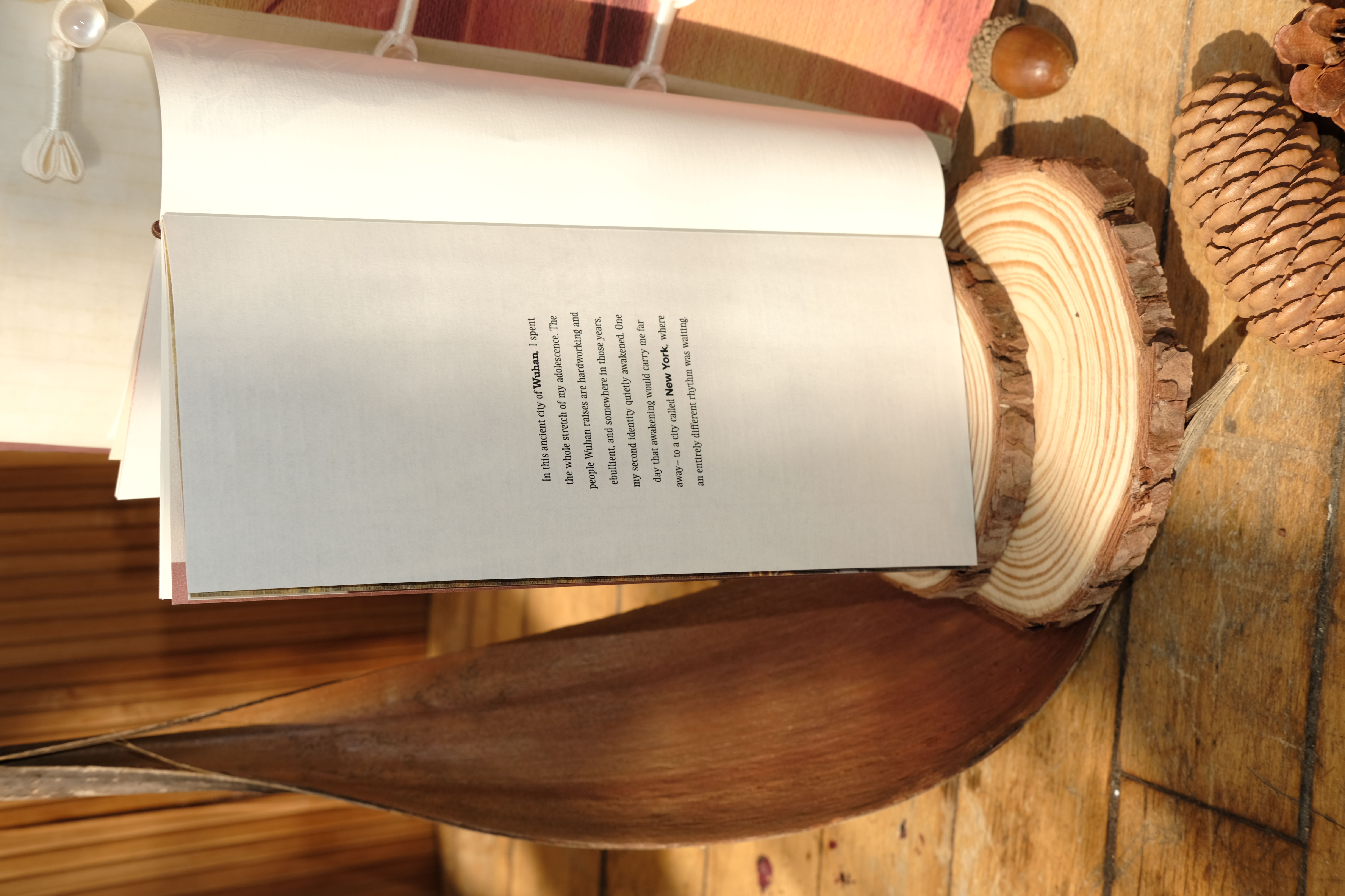 Manifesto detail image 3